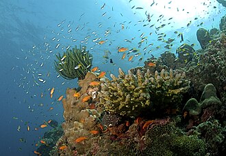Andaman & Nicobar