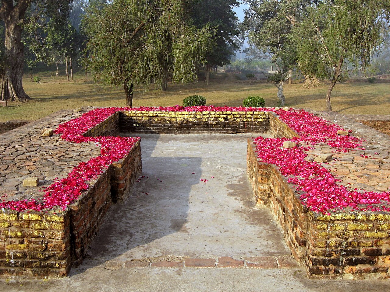 Sravasti