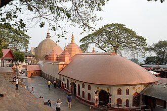 Assam Wildlife & Heritage: Kaziranga & Guwahati (3 Nights / 4 Days)