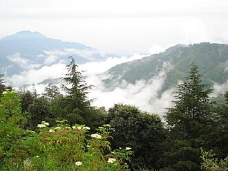 Royal Shimla & Chail Palace Wilderness Tour (3 Nights / 4 Days)